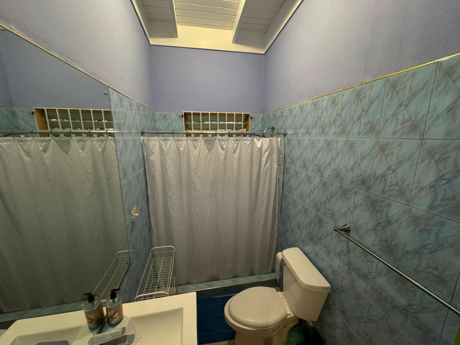 Shalom Suite 2, Manor Park Kingston Kültér fotó