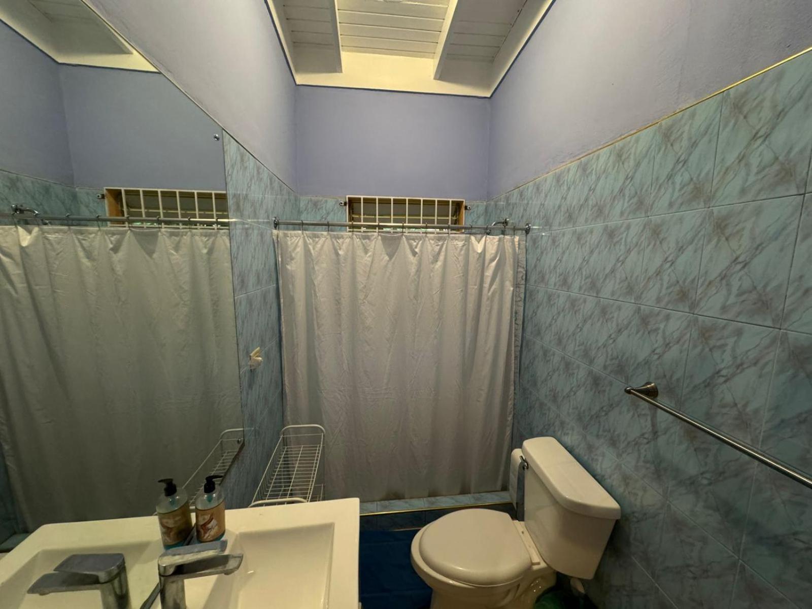 Shalom Suite 2, Manor Park Kingston Kültér fotó